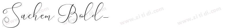 Sachem Bold字体转换